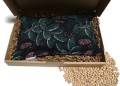 Termofor z pestek wiśni - duży - 20x30 WZÓR Świąteczny #12